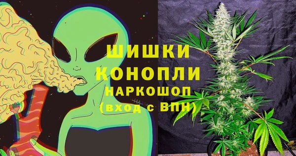 дживик Гусь-Хрустальный