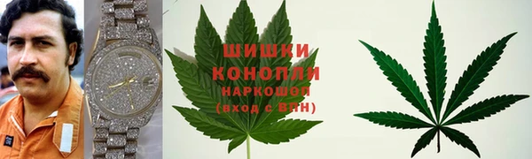 дживик Гусь-Хрустальный