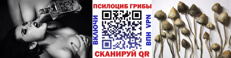 Галлюциногенные грибы прущие грибы Дмитровск